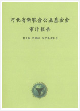 2020年度专项审计报告